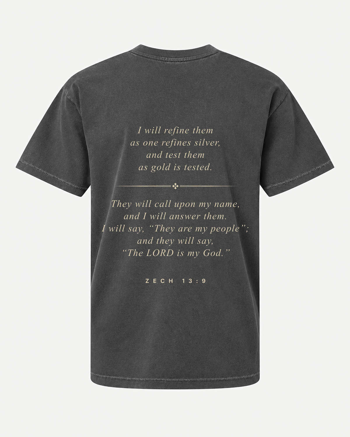 VALLEY tee back with Zech. 13:9 printed 13 inches across
